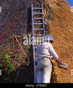 In Europa il REGNO UNITO England Gloucestershire Cotswolds Thatcher Foto Stock