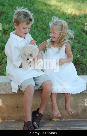 Fratello e Sorella con piccoli bichon frise cucciolo Foto Stock