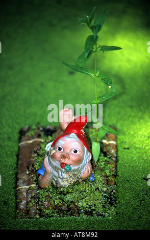 Uno gnomo da giardino a 'Gnome Magic' una attrazione turistica, Dedham, Essex, Inghilterra. Foto Stock