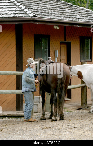 Preparare i cavalli per il sentiero a cavallo Foto Stock
