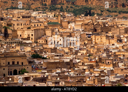 Edifici appartamento zona residenziale, panoramica, la medina di Fes el-Bali, città di Fez, Fez, in Marocco, Africa settentrionale, Africa Foto Stock