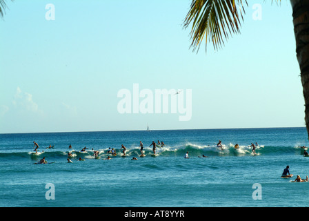 La spiaggia di Waikiki con molti surfisti cavalcare onde piccole nel vicino al litorale Foto Stock