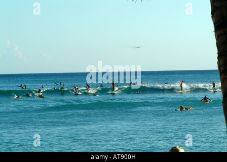 La spiaggia di Waikiki con molti surfisti cavalcare onde piccole nel vicino al litorale Foto Stock