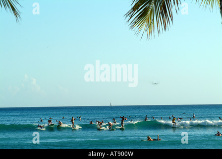 La spiaggia di Waikiki con molti surfisti cavalcare onde piccole nel vicino al litorale Foto Stock