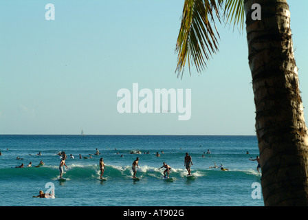 La spiaggia di Waikiki con molti surfisti cavalcare onde piccole nel vicino al litorale Foto Stock