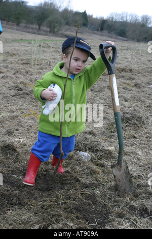 Un giovane ragazzo di piantare un albero come parte di una comunità foresta in Swindon Foto Stock