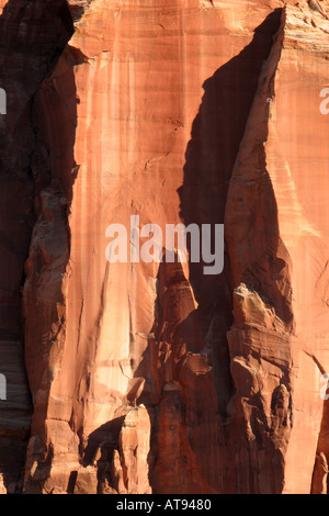 Orange la parete del canyon sul Monte Spry Zion National Park Washington County UT Foto Stock