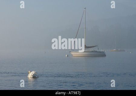 Swan e yacht nella nebbia, Lago di Windermere a Waterhead, Parco Nazionale del Distretto dei Laghi, Cumbria, Regno Unito Foto Stock