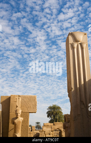 Pilastro di granito con decorazione di papiro e statua nel tempio di Amun Re Karnak Sito Patrimonio Mondiale dell'UNESCO Tebe Egitto Africa Foto Stock