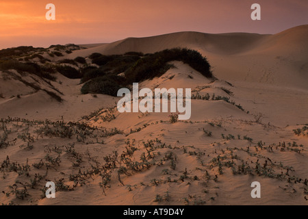 Tramonto a Guadalupe Nipomo dune di sabbia di San Luis Obispo County in California Foto Stock