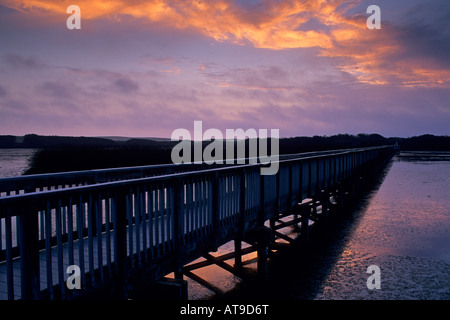 Tramonto a Oso Flaco Lago di Guadalupe Nipomo Dune San Luis Obispo County in California Foto Stock