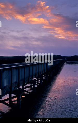 Percorso Boardwalk al tramonto Oso Flaco Lago di Guadalupe Nipomo Dune San Luis Obispo County in California Foto Stock