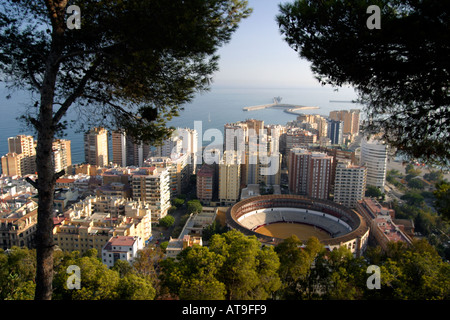 Spagna malaga corride ring Plaza de Toros Foto Stock