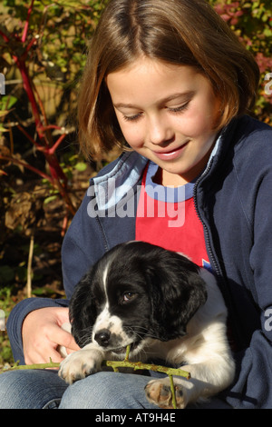 Cucciolo di cane English Springer Spaniel con pround ragazza giovane Foto Stock