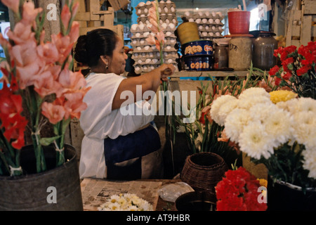 Donna Maya che vendono fiori in Merida Yucatan Messico Foto Stock