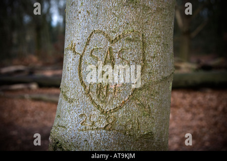 Un amore cuore scolpito in un tronco di albero Foto Stock