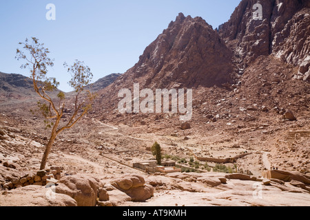 St Katherine Penisola del Sinai Egitto deserto arido valle di wadi paesaggio sotto il monte Sinai in granito rosso alta montagna Foto Stock