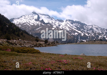 Lac d' Aumar e Pic de Neouvielle nei Pirenei francesi Foto Stock