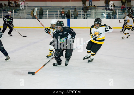 African American Hockey su ghiaccio squadre Foto Stock