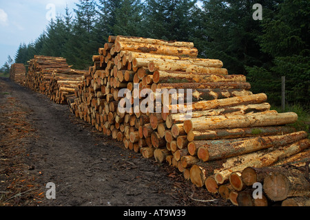 Registri sovrapposti dalla Commissione forestale di attesa per il trasporto, Brecon Beacons, Wales, Regno Unito Foto Stock