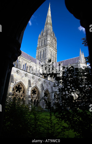 La Cattedrale di Salisbury guglia visto dal chiostro, Salisbury, Wiltshire, Inghilterra, Regno Unito Foto Stock