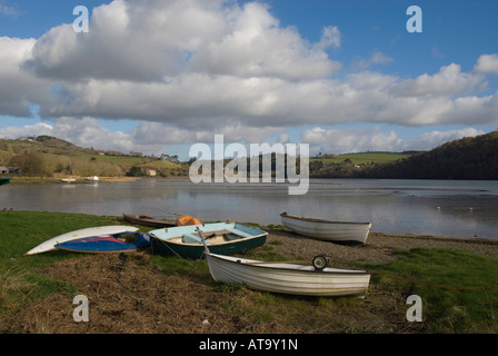 Fiume Tavy Bere Ferrers Devon England Foto Stock