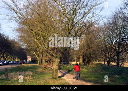 Il sentiero di Rivington Hall leva nel parco vicino Horwich Foto Stock