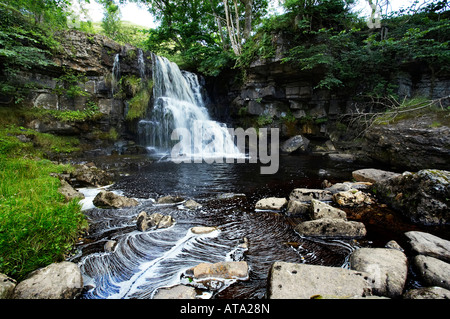 Oriente Gill forza Swaledale superiore nei pressi di Keld su del The Pennine Way Yorkshire Dales National Park Foto Stock