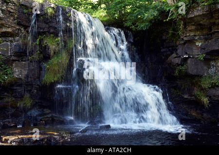 Oriente Gill forza Swaledale superiore nei pressi di Keld su del The Pennine Way Yorkshire Dales National Park Foto Stock