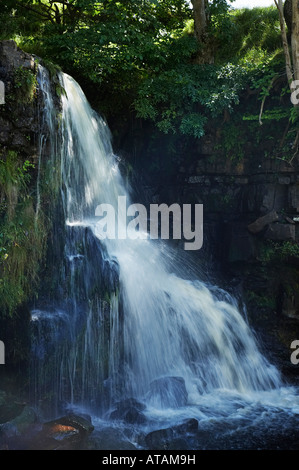 Oriente Gill forza Swaledale superiore nei pressi di Keld su del The Pennine Way Yorkshire Dales National Park Foto Stock