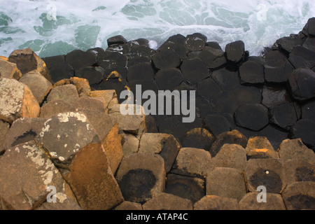 Le pietre a Giant's Causeway, County Antrim, Irlanda del Nord Foto Stock