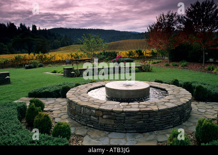 Goldeneye vigneti vicino a Philo Anderson Valley Mendocino County in California Foto Stock