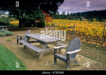 Goldeneye vigneti vicino a Philo Anderson Valley Mendocino County in California Foto Stock