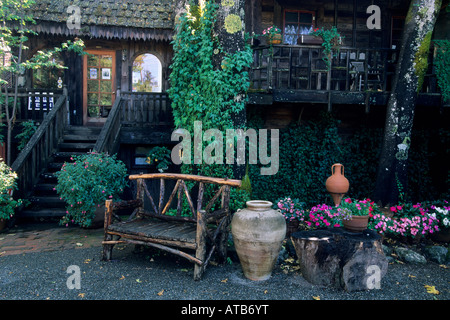 Frey vigneti Redwood Valley Mendocino County in California Foto Stock