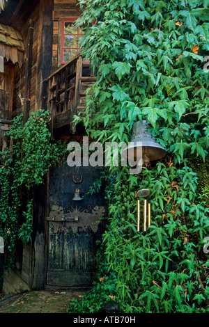 Frey vigneti Redwood Valley Mendocino County in California Foto Stock