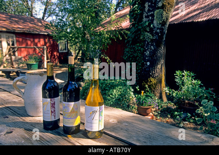 Le bottiglie di vino con caraffa sotto l'ombra di un albero di giorno Frey vigneti Redwood Valley Mendocino County in California Foto Stock