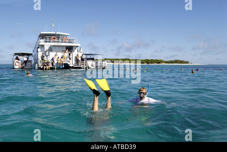 I subacquei off Lady Musgrave Island, della Grande Barriera Corallina, Queensland, foto da Bruce Miller 6 2003 Foto Stock