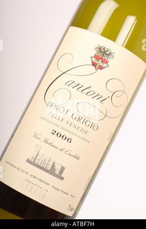 Vino bianco italiano bottiglia Pinot Grigio da Venezie etichetta area Foto Stock