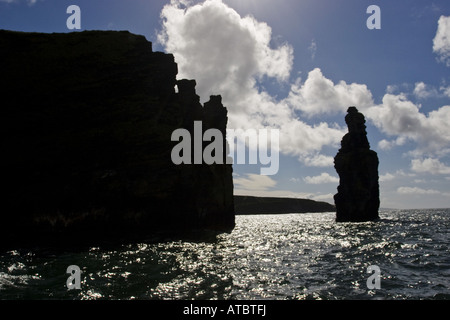 Rockneedle davanti di ripida costa in luce posteriore; bocca od il Shannon, Irlanda, Kerrysdale, Shannon-Muendung Foto Stock