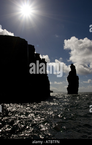 Rockneedle davanti di ripida costa in luce posteriore; bocca od il Shannon, Irlanda, Kerrysdale, Shannon-Muendung Foto Stock