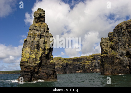 Rockneedle nella bocca di Shannon, Irlanda, Kerrysdale, Shannon-Muendung Foto Stock