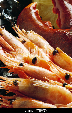 Molluschi assortiti, close-up Foto Stock