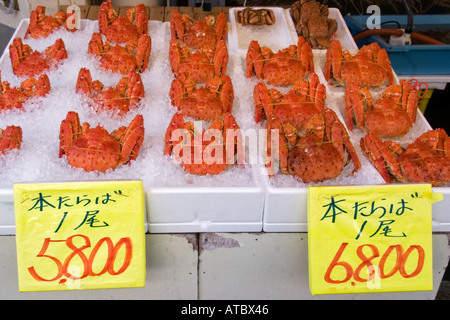 Dettaglio dei grandi granchi freschi sul ghiaccio a Hakodate mercato mattutino in Hokkaido in Giappone Foto Stock