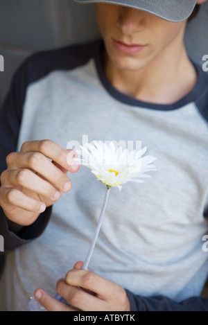 Giovane uomo spiumatura petali di fiore, vista ritagliata Foto Stock