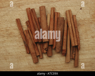 Ceylon cannella (Cinnamomum zeylanicum), bastoncini di cannella Foto Stock