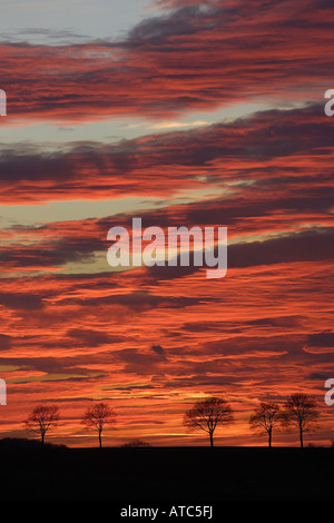 Tramonto con colorati di rosso le nuvole, in Germania, in Renania settentrionale-Vestfalia, Kuerten-Spitze Foto Stock