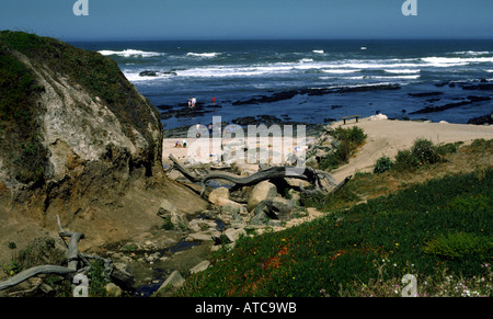 James Fitzgerald riserva marina vicino a Moss Spiaggia San Mateo County California USA Foto Stock