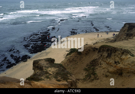 James Fitzgerald riserva marina vicino a Moss Spiaggia San Mateo County nuvoloso giorno California USA Foto Stock