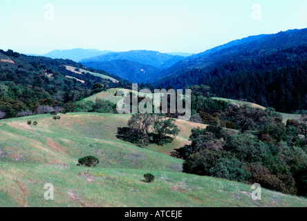 Stevens Creek Sentiero Natura Monte Bello spazio aperto conservare Santa Cruz Mountains California USA Foto Stock