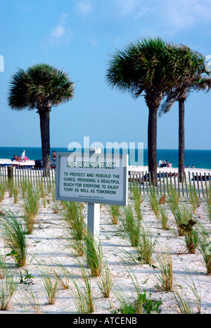 Dune progetto di restauro Spiaggia Lido Sarasota Florida USA lungo il Golfo del Messico Foto Stock